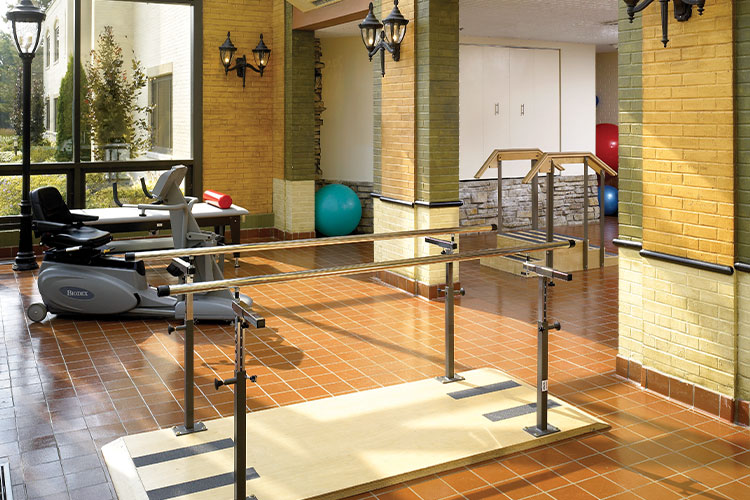 whitehall ortho featured