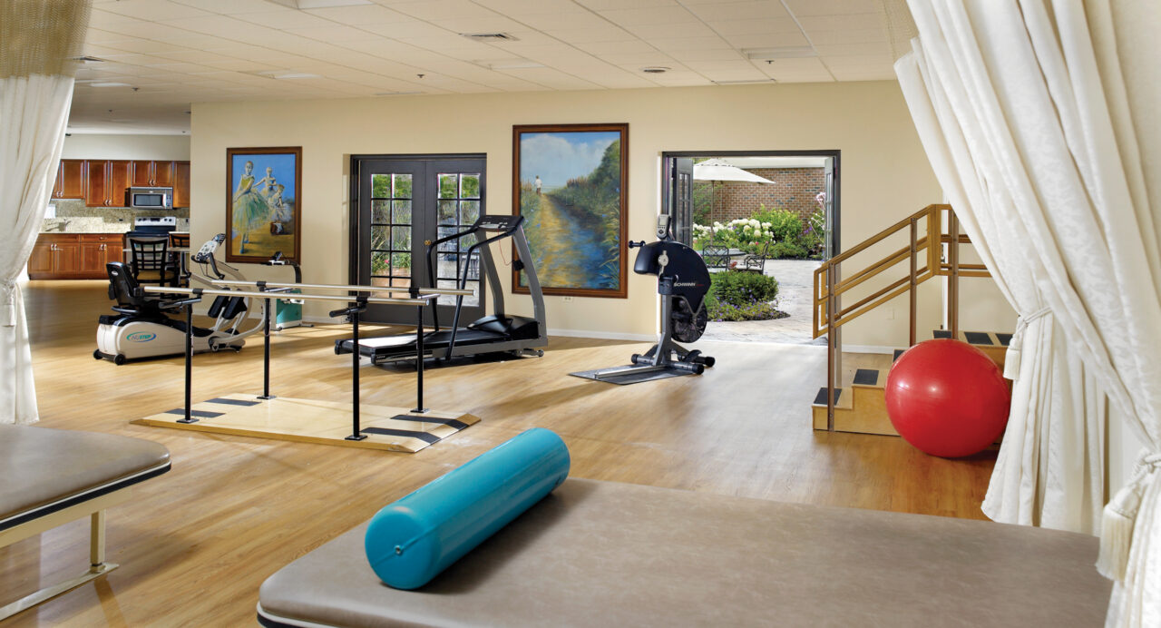 Whitehall PHOTO 2009 MainTherapyGym WEBSITE